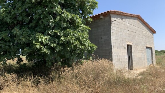 Vista del terreno rústico en venta en Montbrió con almacén