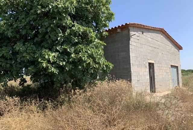 Vista del terreno rústico en venta en Montbrió con almacén